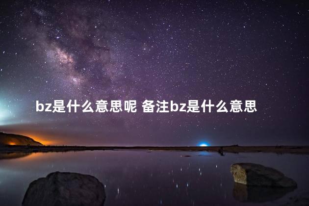 bz是什么意思呢 备注bz是什么意思